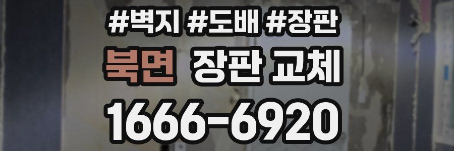 북면 장판 교체