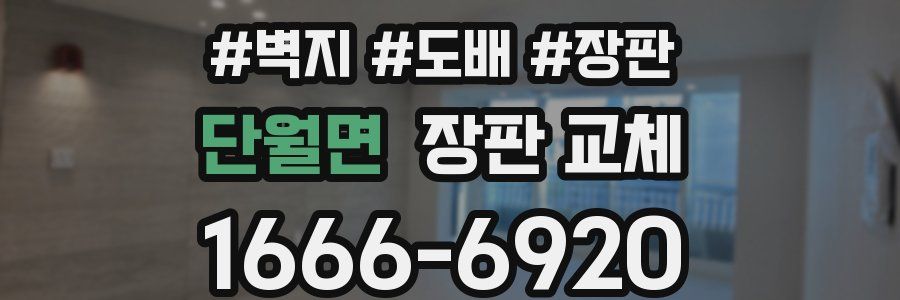 단월면 장판 교체