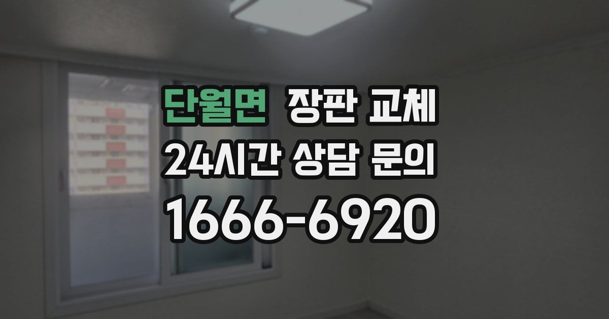 단월면 장판 교체