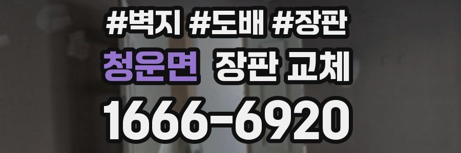 청운면 장판 교체