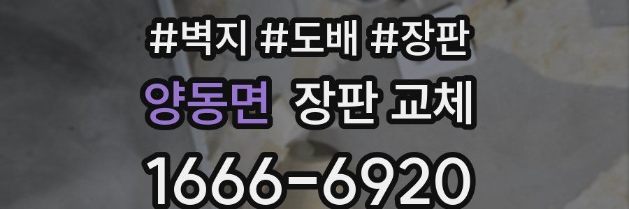 양동면 장판 교체