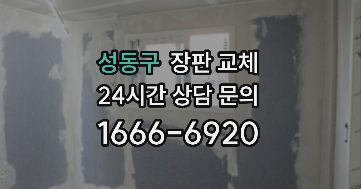 성동구 장판 교체