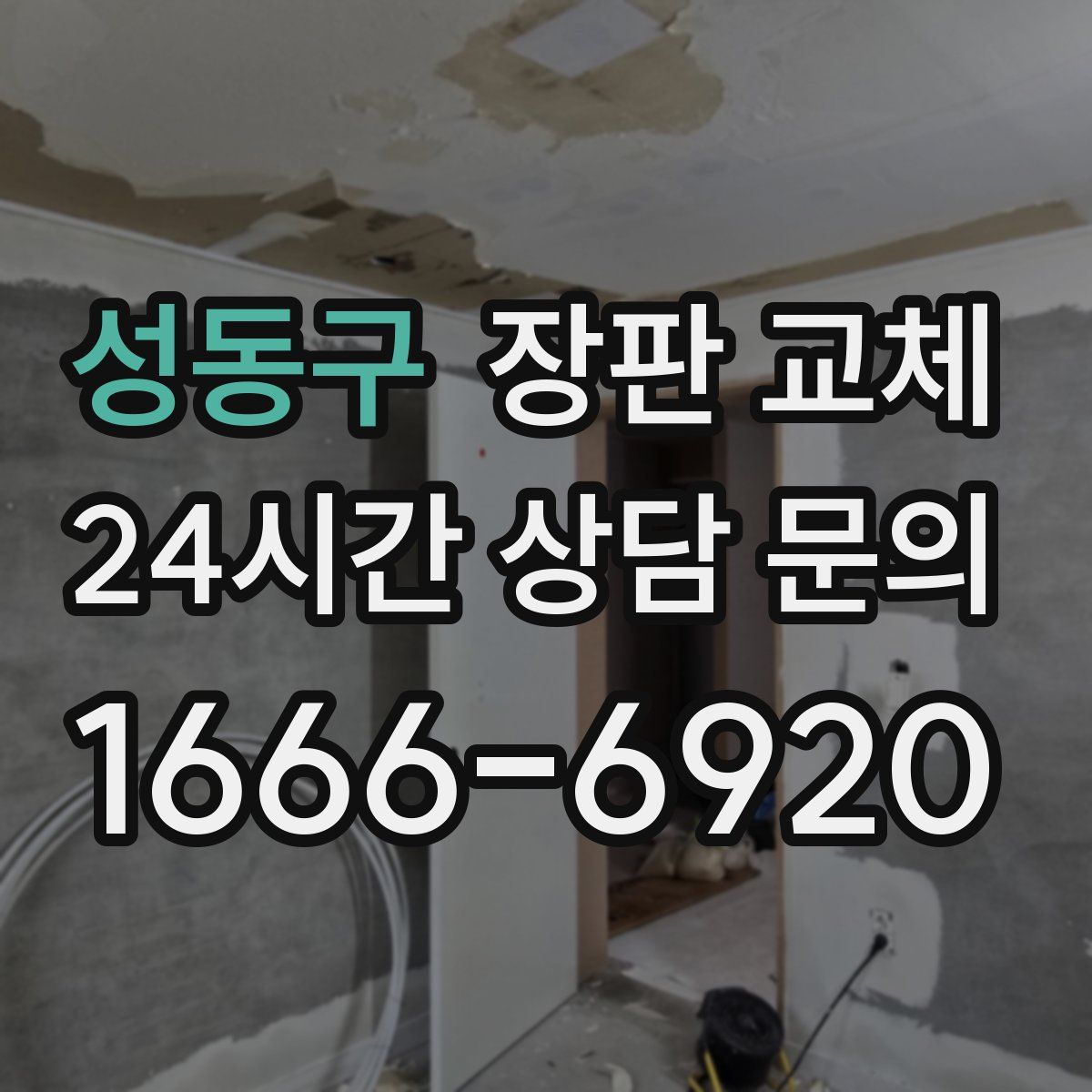성동구 장판 교체