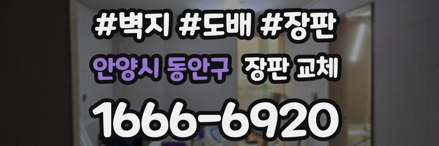 안양시 동안구 장판 교체