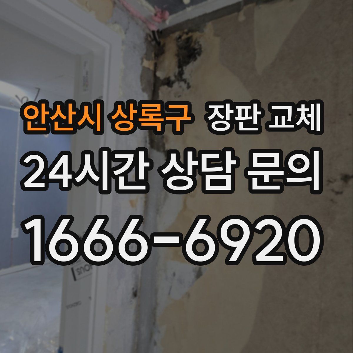 안산시 상록구 장판 교체
