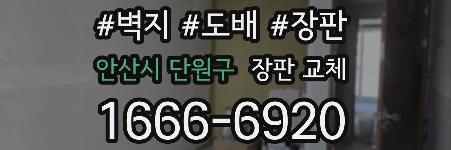 안산시 단원구 장판 교체