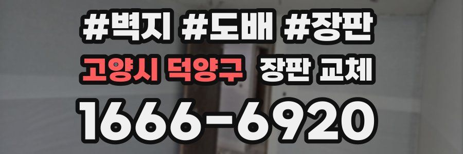 고양시 덕양구 장판 교체