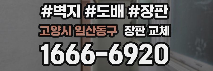 고양시 일산동구 장판 교체