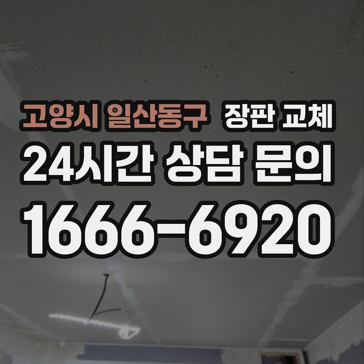 고양시 일산동구 장판 교체