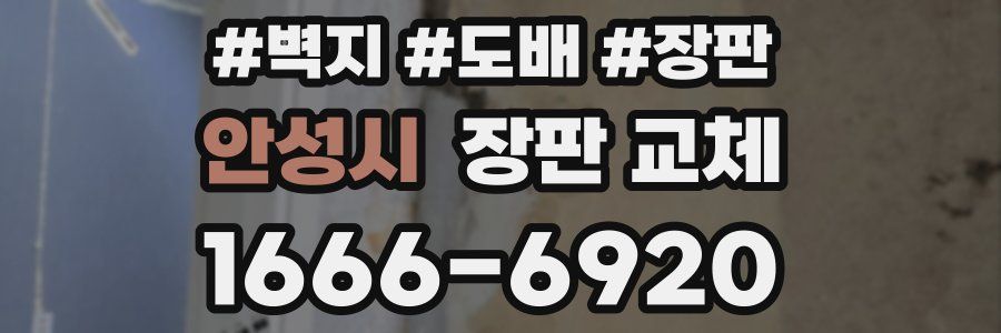 안성시 장판 교체