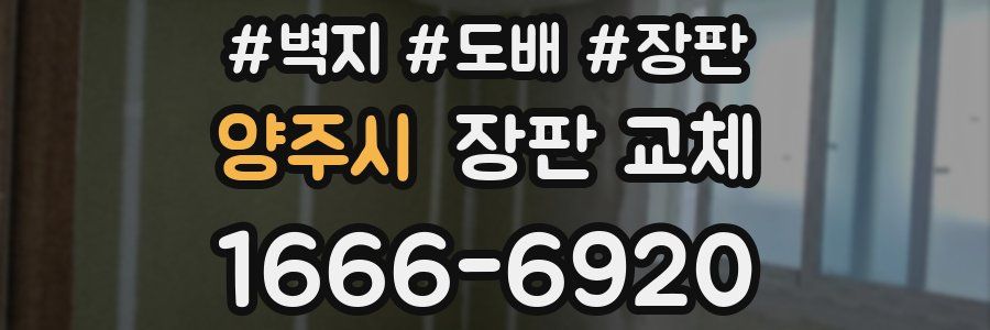 양주시 장판 교체