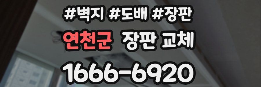 연천군 장판 교체
