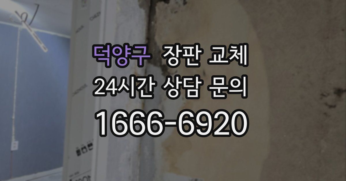 덕양구 장판 교체