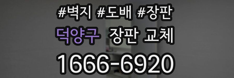 덕양구 장판 교체