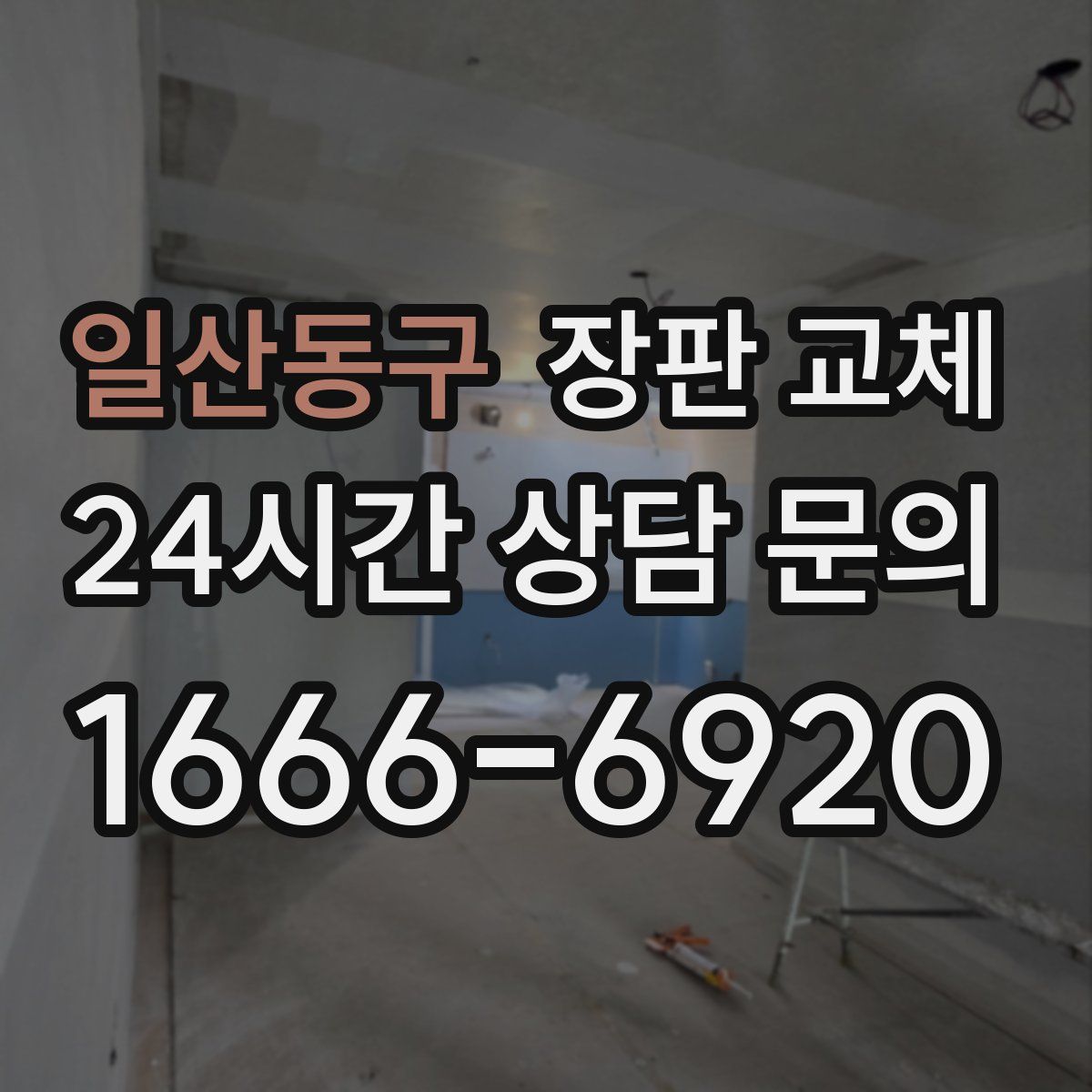 일산동구 장판 교체