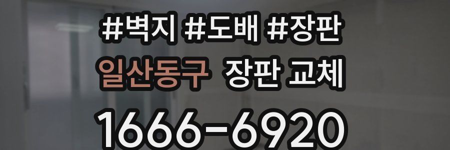 일산동구 장판 교체