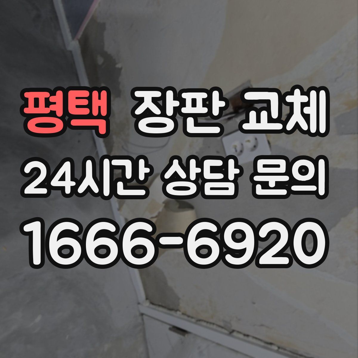 평택 장판 교체