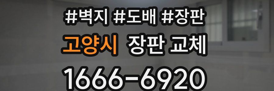 고양시 장판 교체