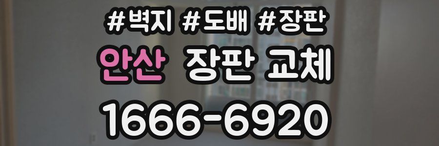 안산 장판 교체