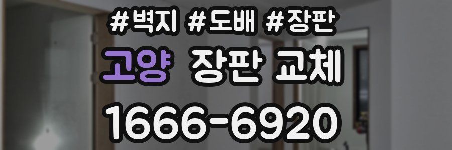 고양 장판 교체