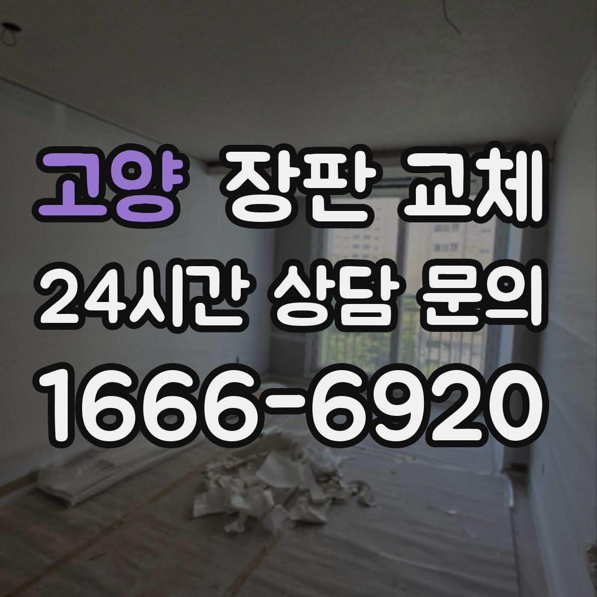 고양 장판 교체