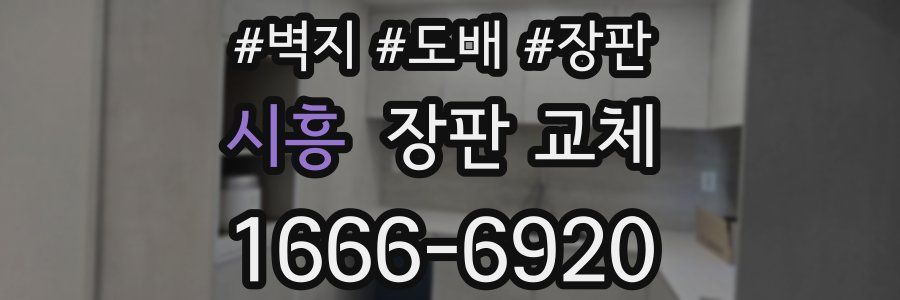 시흥 장판 교체