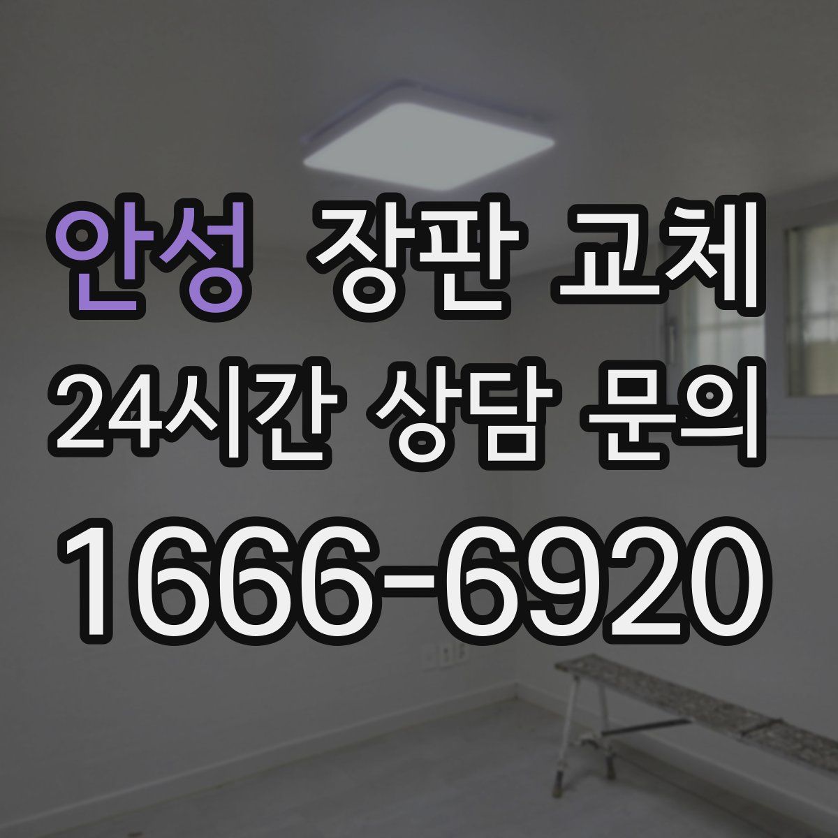 안성 장판 교체