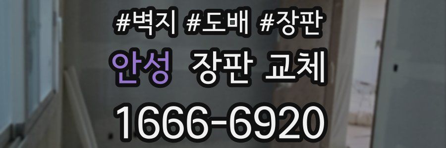 안성 장판 교체