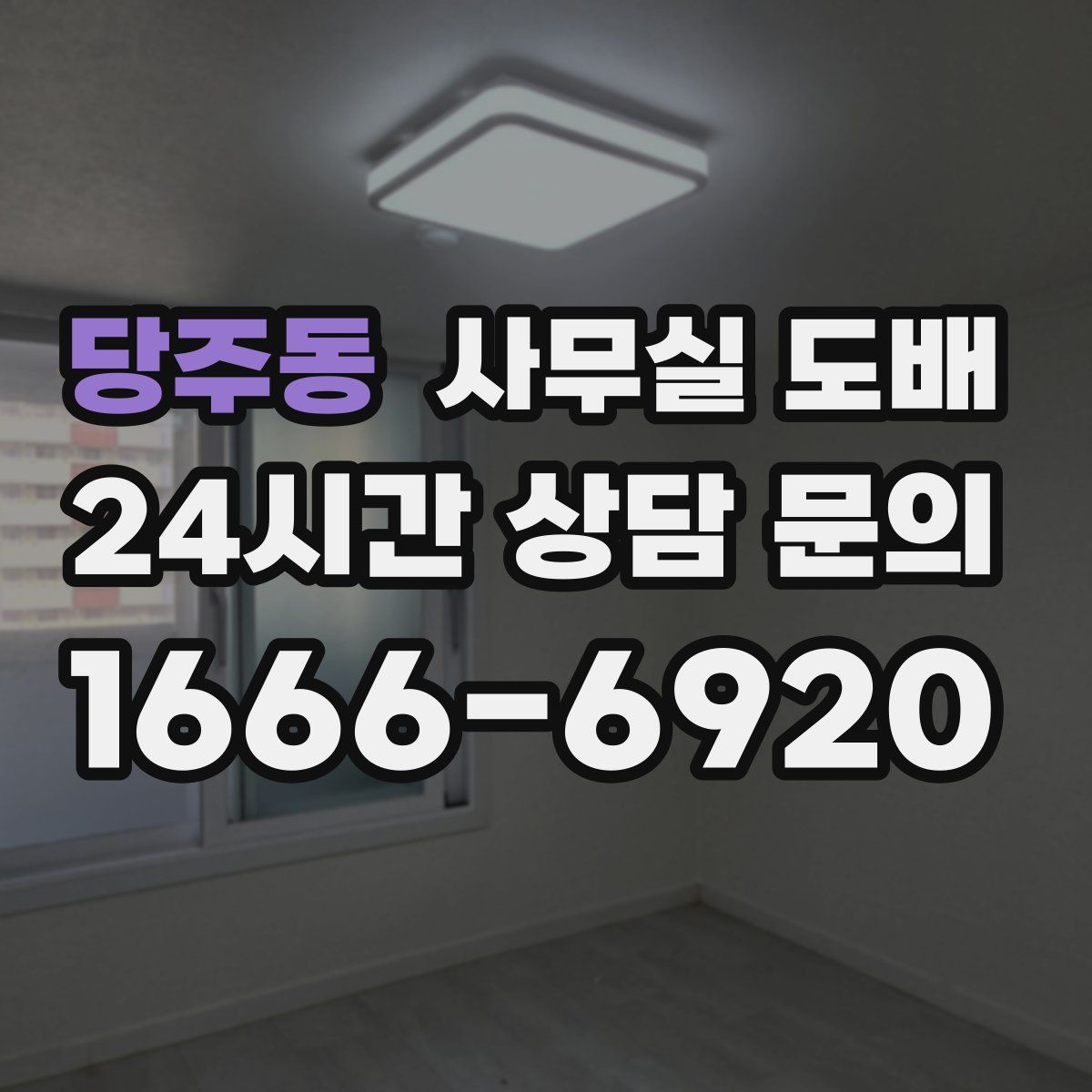 당주동 사무실 도배