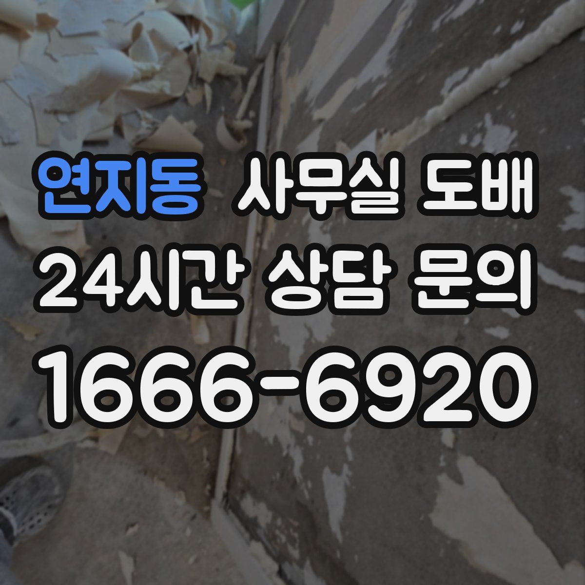 연지동 사무실 도배
