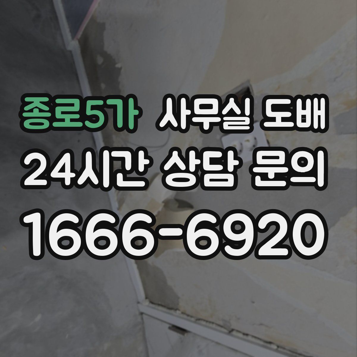 종로5가 사무실 도배