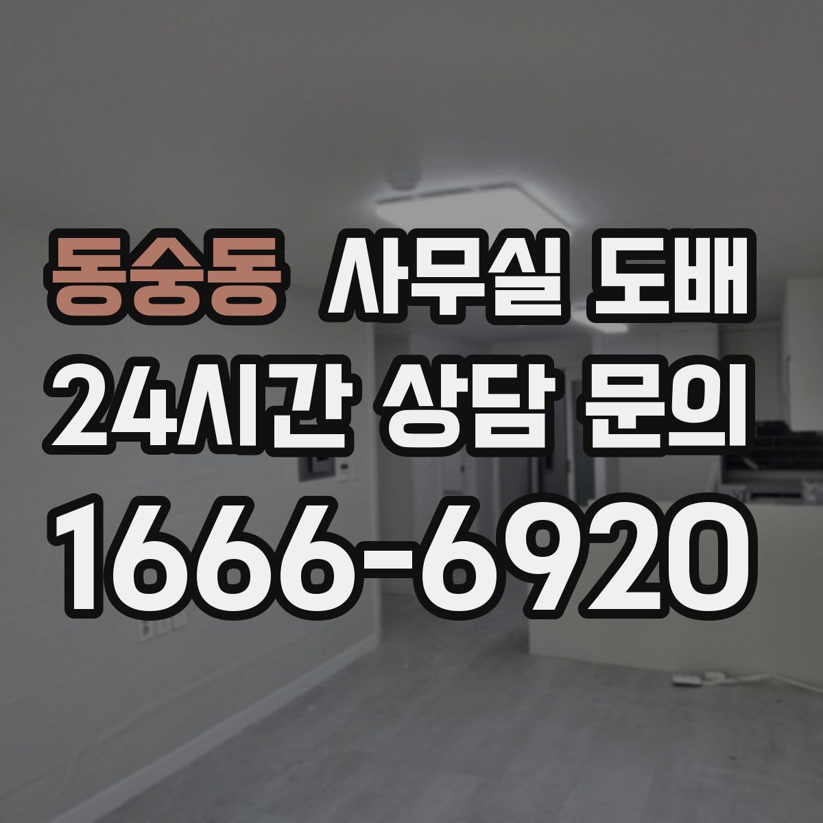 동숭동 사무실 도배