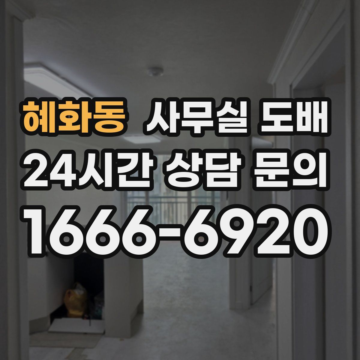 혜화동 사무실 도배