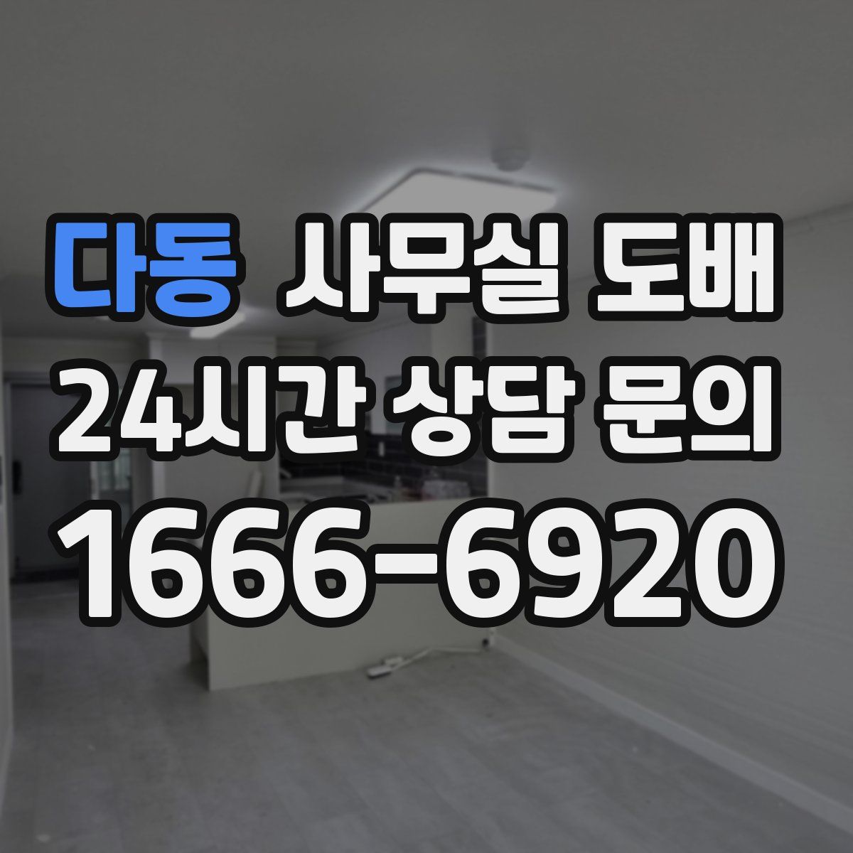 다동 사무실 도배