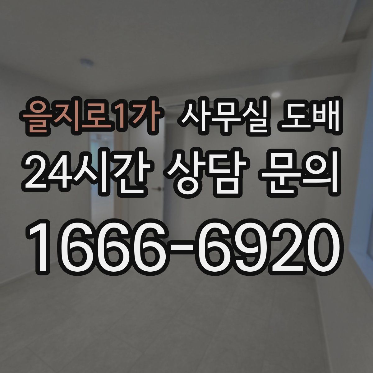 을지로1가 사무실 도배