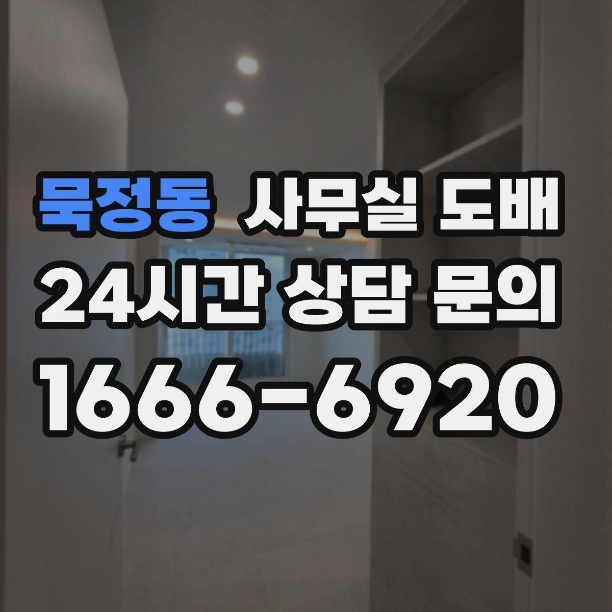 묵정동 사무실 도배