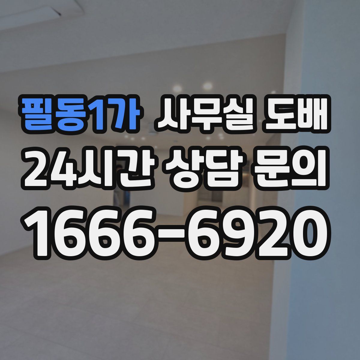 필동1가 사무실 도배