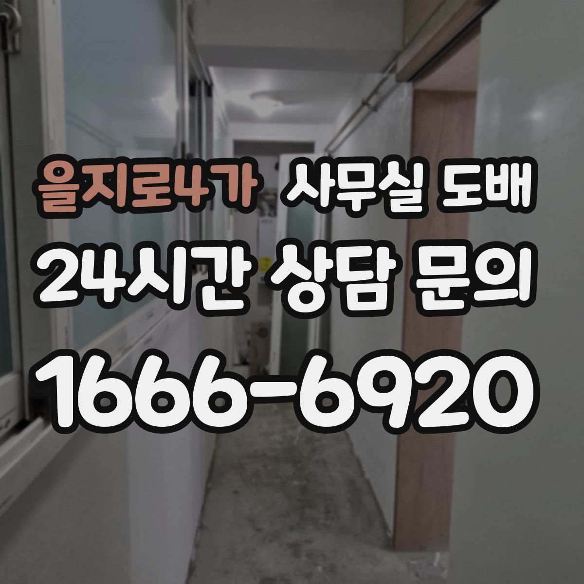 을지로4가 사무실 도배