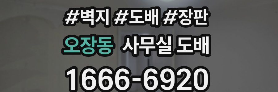 오장동 사무실 도배