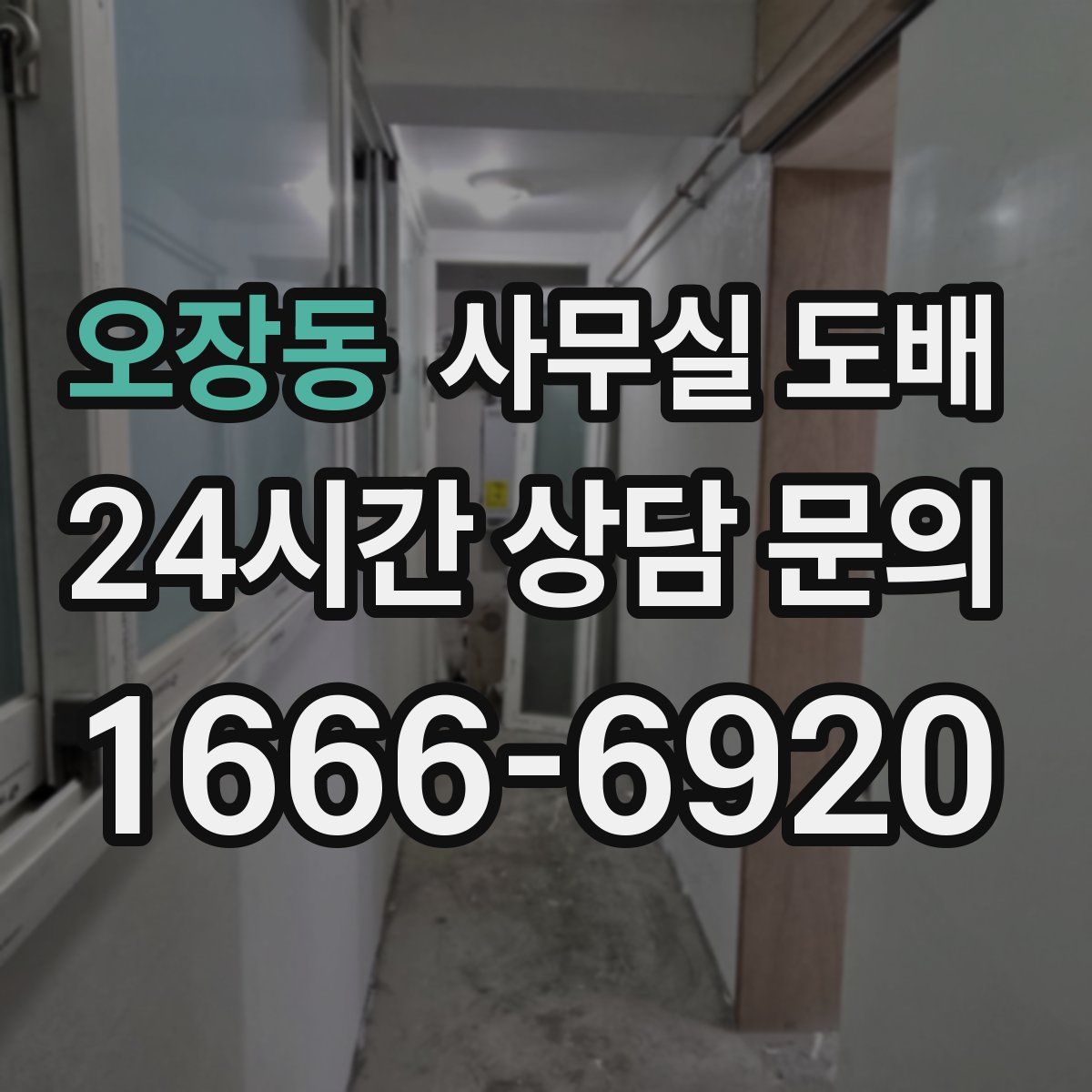 오장동 사무실 도배