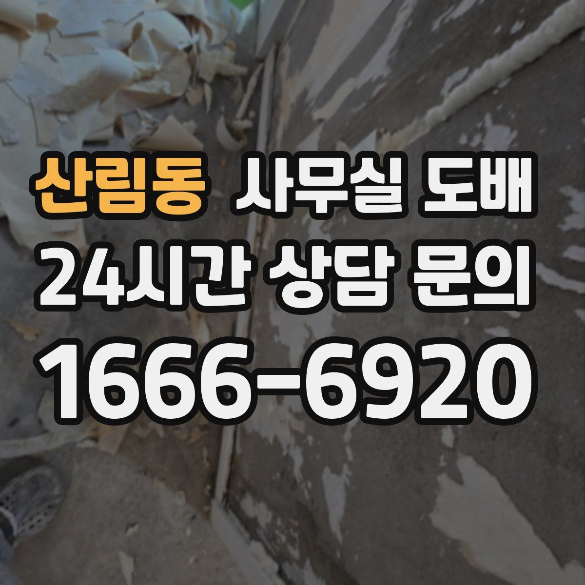 산림동 사무실 도배