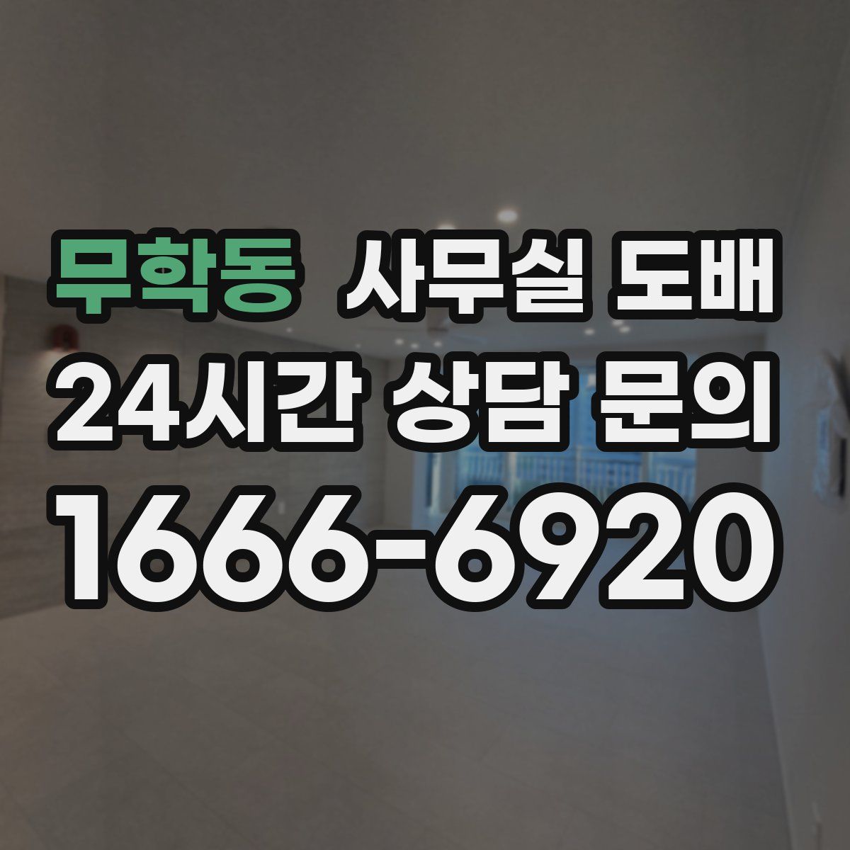 무학동 사무실 도배