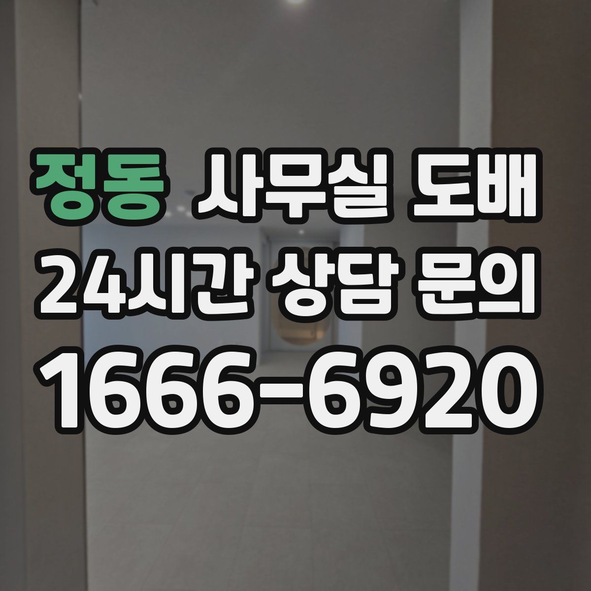 정동 사무실 도배