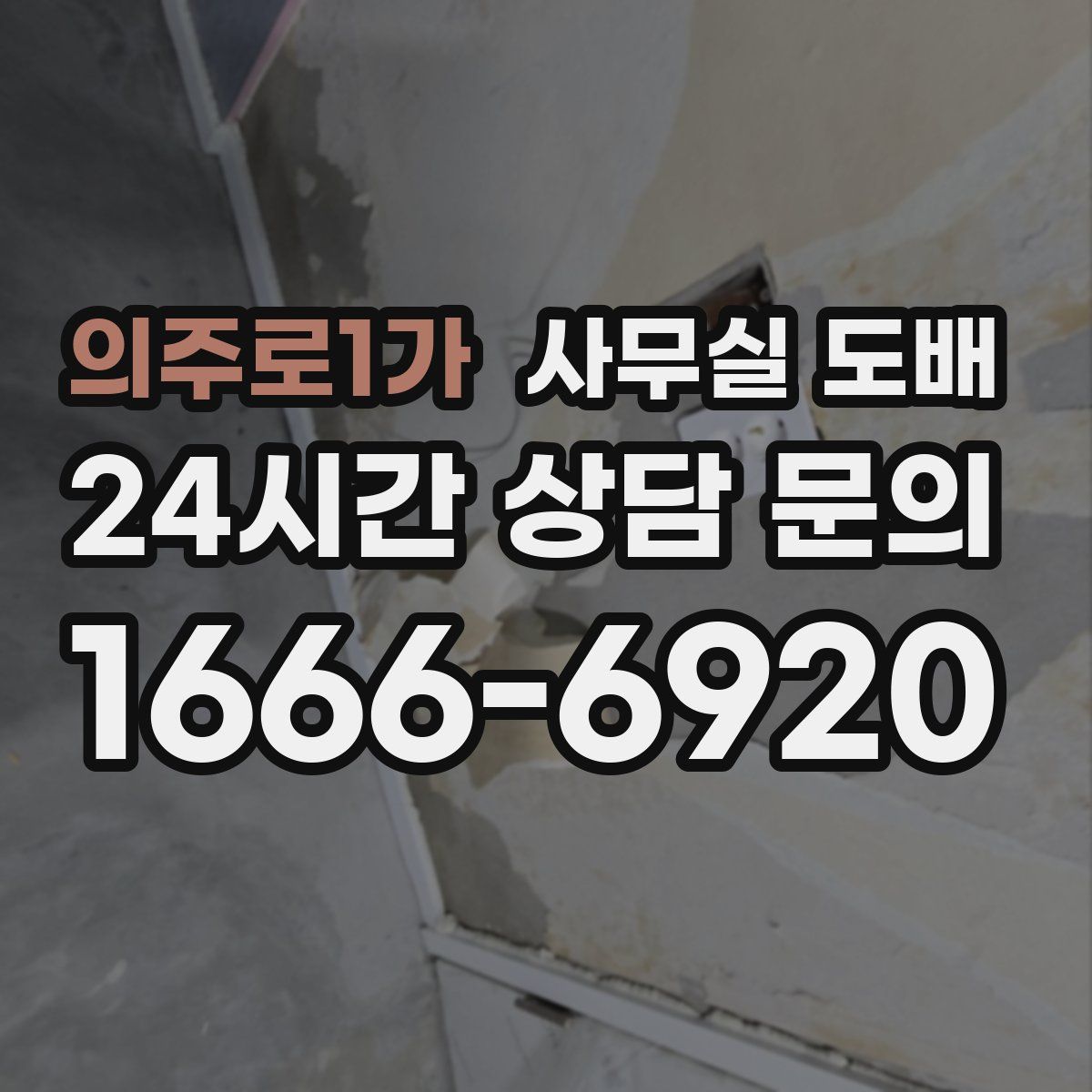 의주로1가 사무실 도배