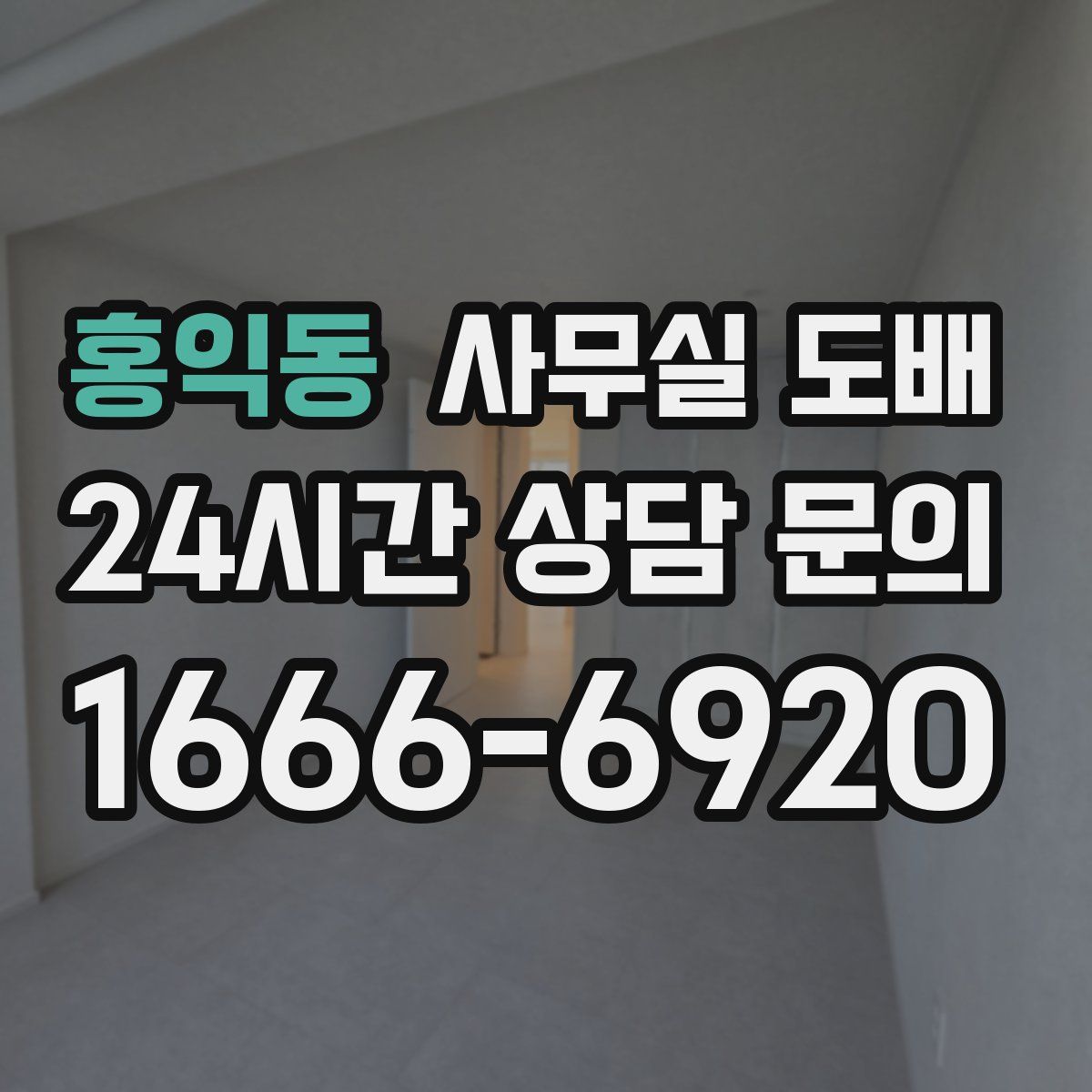 홍익동 사무실 도배