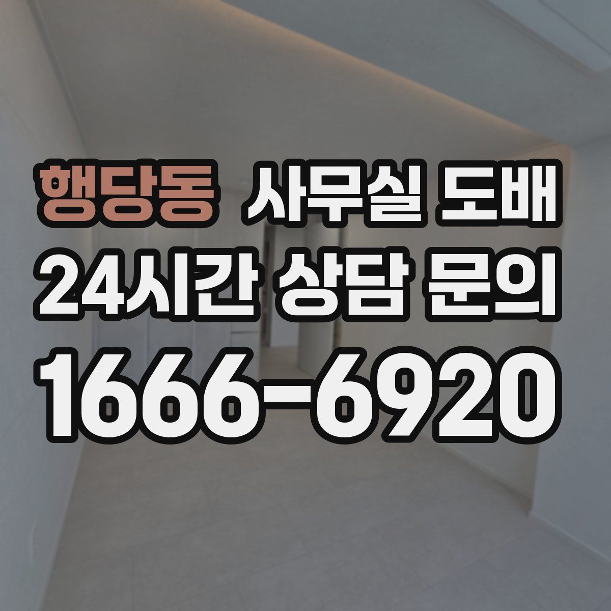 행당동 사무실 도배
