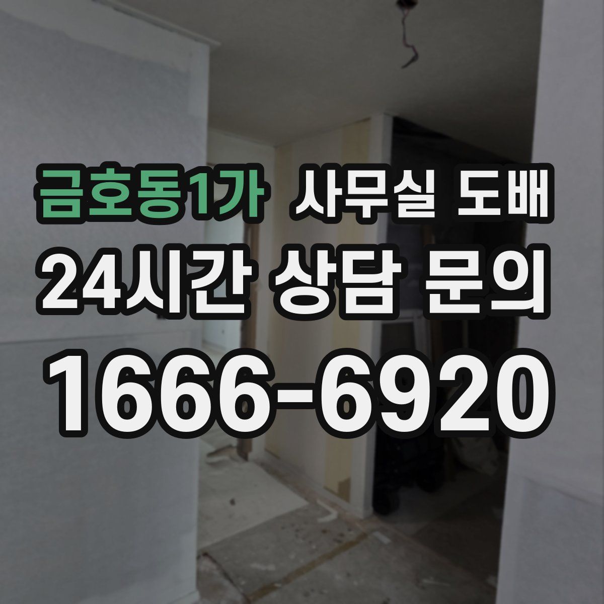 금호동1가 사무실 도배
