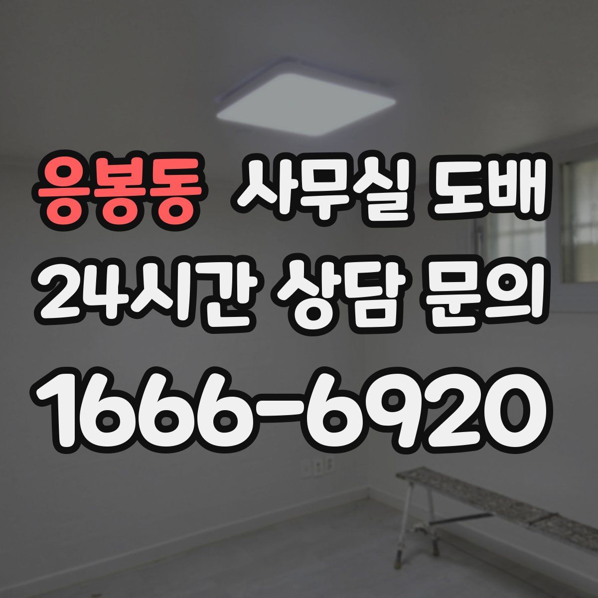 응봉동 사무실 도배