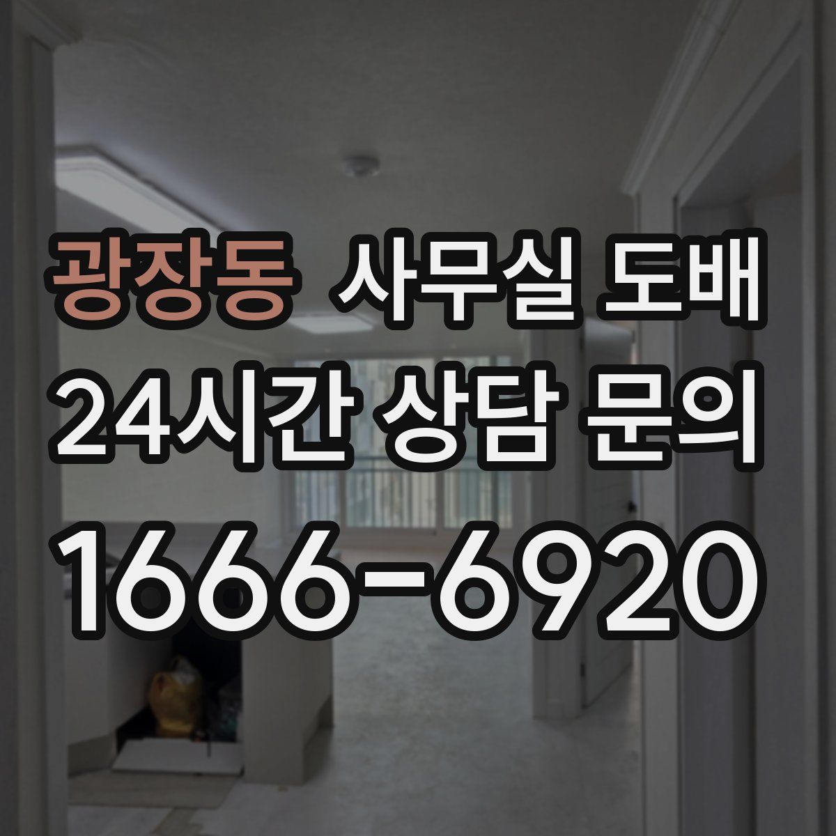 광장동 사무실 도배