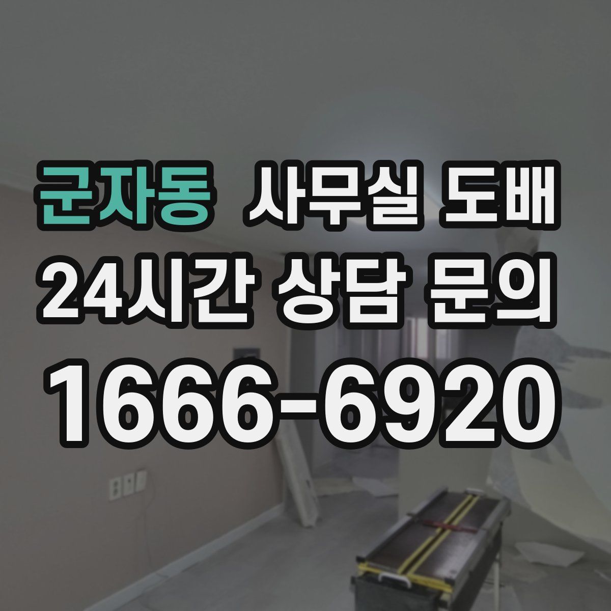 군자동 사무실 도배